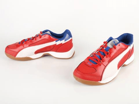 Puma - Evospeed 5