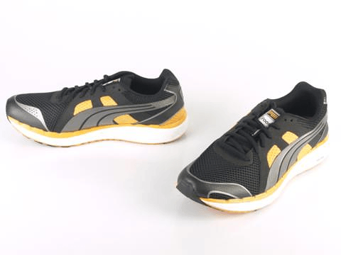 Puma - Faas 550 NM