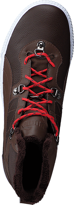 Puma - Tipton