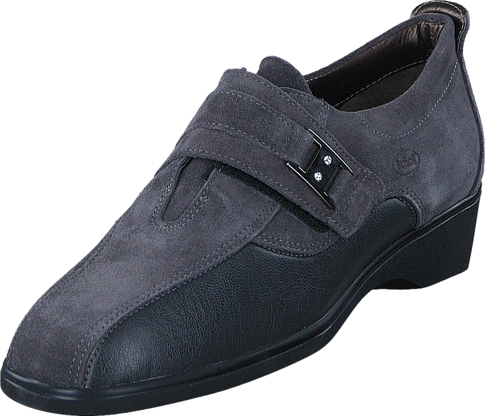 Scholl - Coira