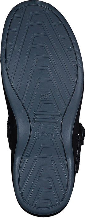 Scholl - New Bonus