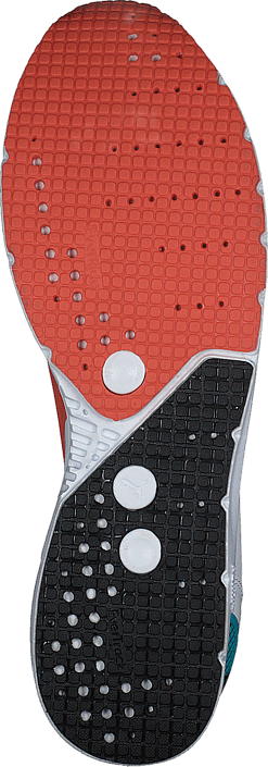 Puma - FUTURE TX-3