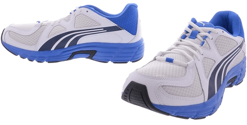 Puma - AXIS V3