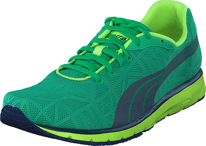 Puma - NARITA V2