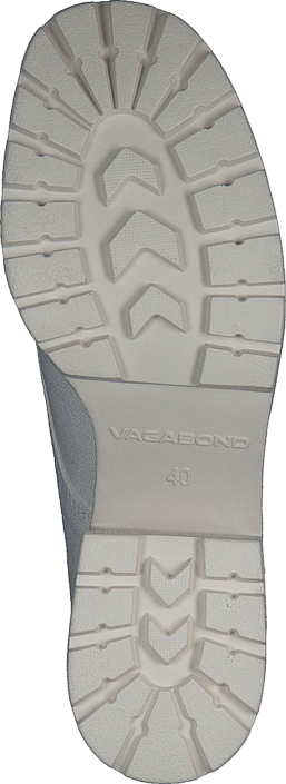 Vagabond - Dioon