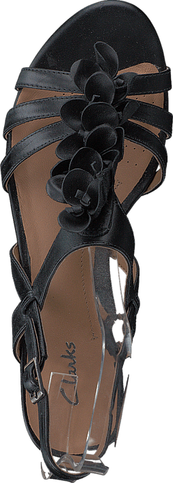 Clarks - Playful Gift