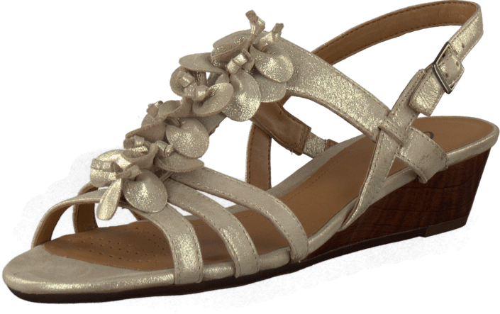 Clarks - Playful Gift