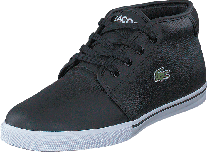 Lacoste - Ampthill Lcr2