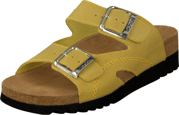 Scholl - Moldava