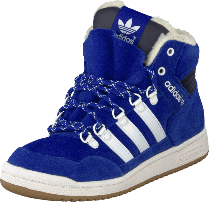 adidas Sport Performance - Pro Conference Wint Royal/White/Legend Ink
