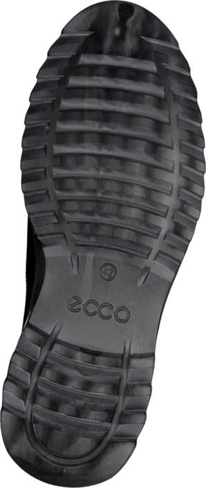 Ecco - Darren Bkack/Black Orbit