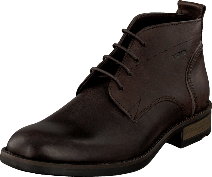 Lloyd - Meteor Brown