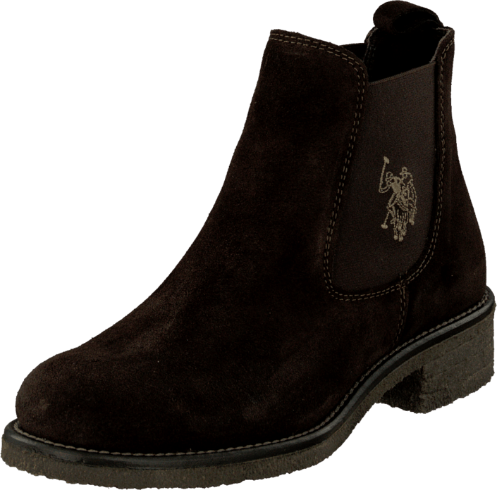 U.S. Polo Assn - Faris 1 Suede Dark Brown