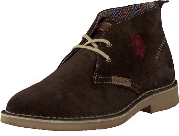 U.S. Polo Assn - Amadeus Suede Dark Brown