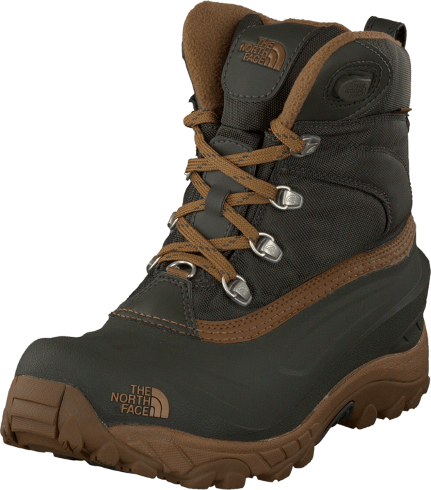 The North Face - Chilkat II Bin Grn/Dac Bro