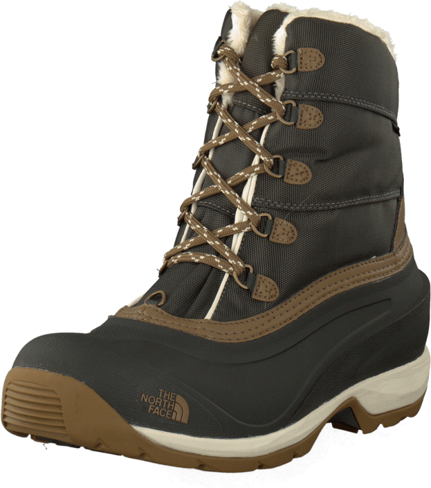 The North Face - Chilkat III Bin Grn/Uti Bro