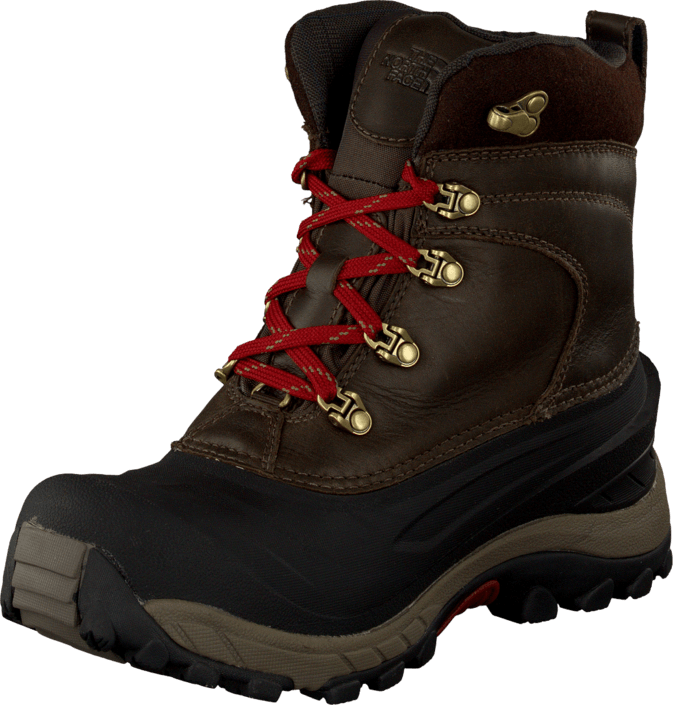 The North Face - Chilkat II Luxe Cofbro/Shrobro