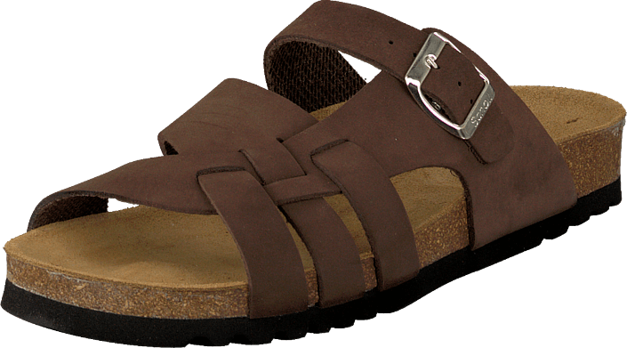 Scholl - Carsol Brown