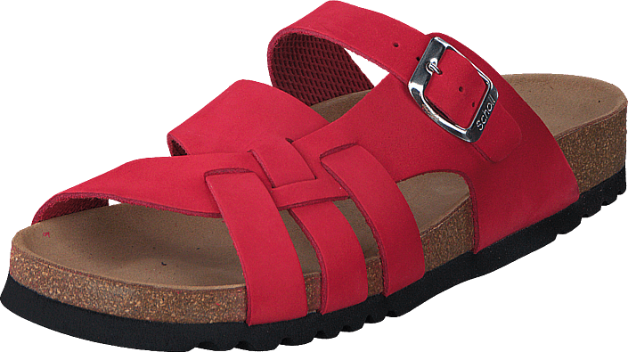 Scholl - Carsol Red