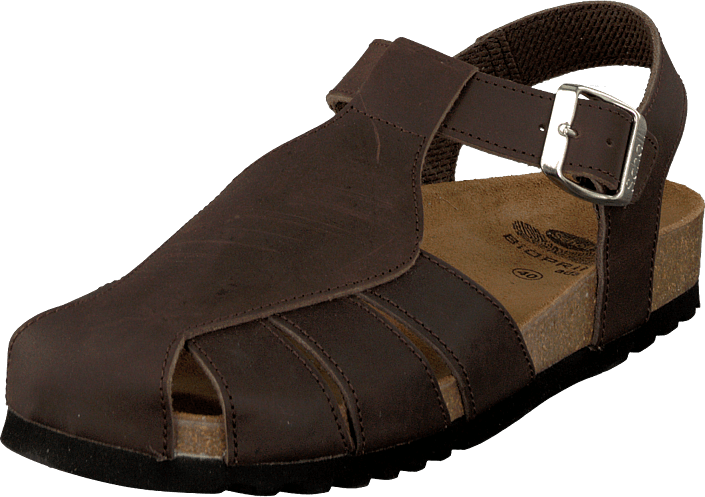 Scholl - Sisare Brown