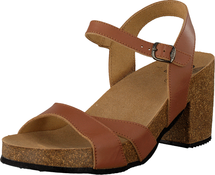 Scholl - Arambe Brown