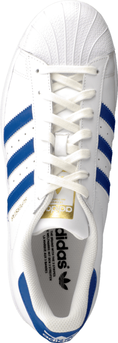 adidas Originals - Superstar Foundation White/Collegiate Royal