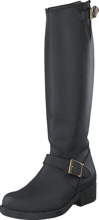 Johnny Bulls - High Zip Back Black Shiny Gold