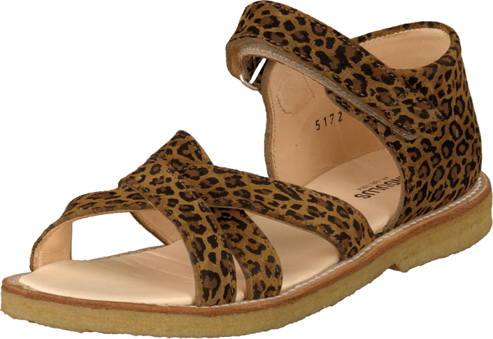 Angulus - 5172-101 Leopard