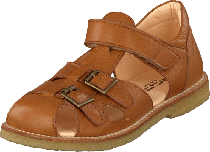 Angulus - 5205-201 Cognac