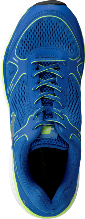 Bagheera - AEX C75 Royal/Lime