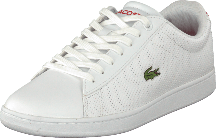 Lacoste - Carnaby Evo Nte Wht/Red Lth/Syn