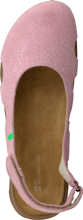 El Naturalista - Wakataua N414 Pink