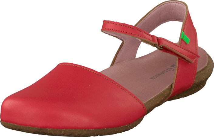 El Naturalista - Wakataua ND71 Red
