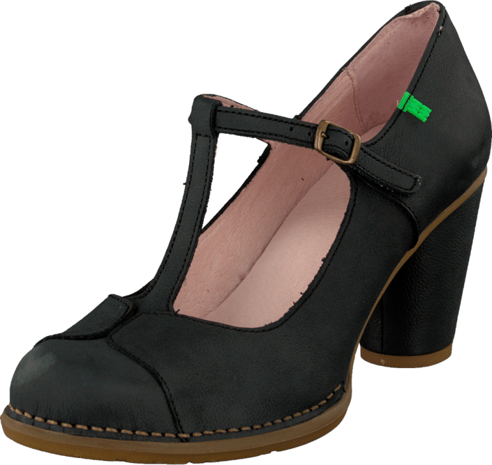 El Naturalista - Colibri N474 Acai
