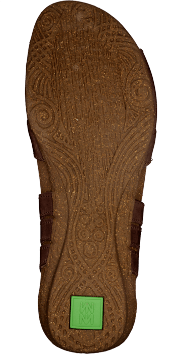 El Naturalista - Wakataua N448 Brown