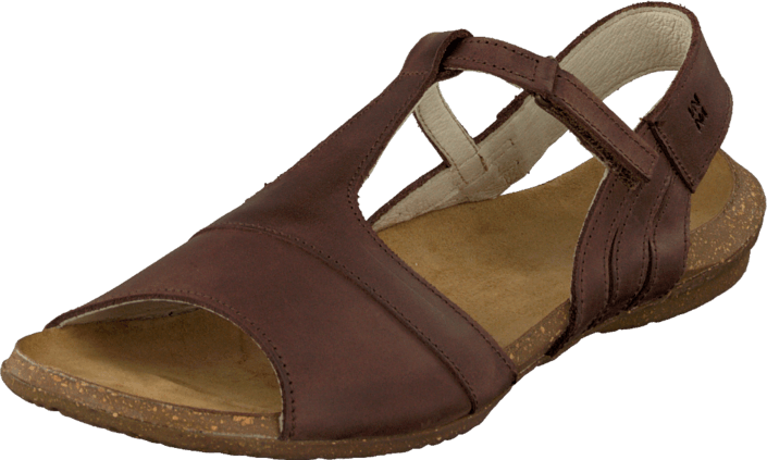 El Naturalista - Wakataua N448 Brown