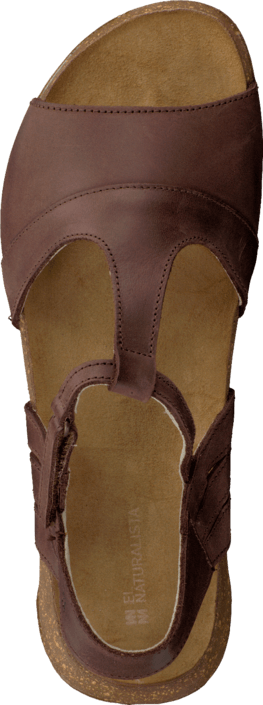 El Naturalista - Wakataua N448 Brown