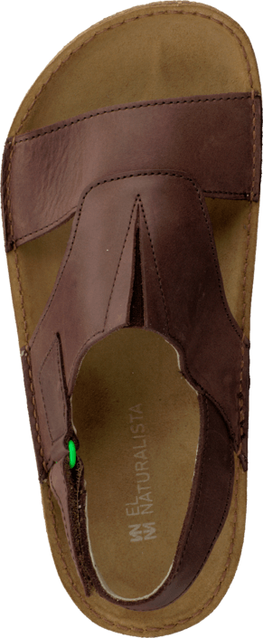 El Naturalista - Contradiction ND41 Brown