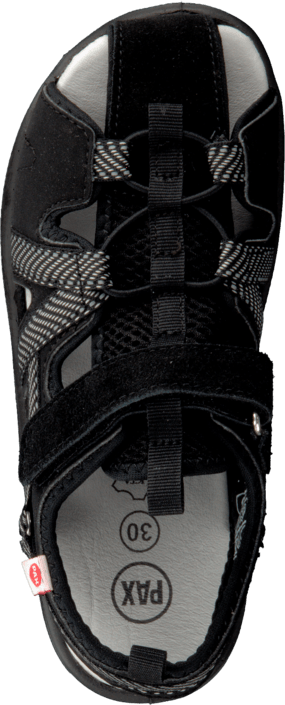 Pax - Hawker Black