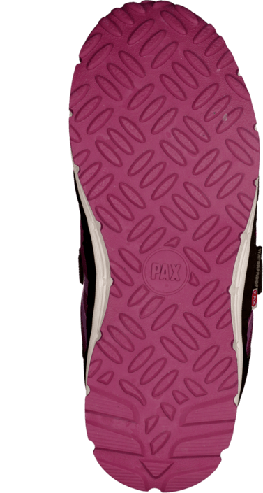 Pax - Marvel Lilac