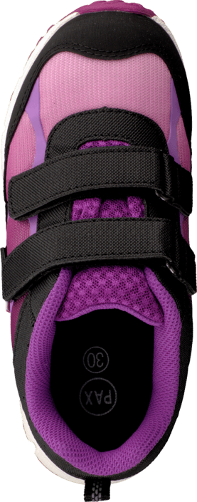 Pax - Marvel Lilac