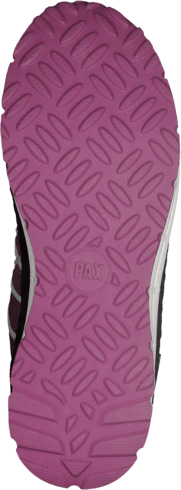 Pax - Octopus Lilac