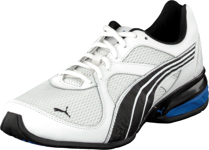 Puma - Tazon 5 Aurgo White