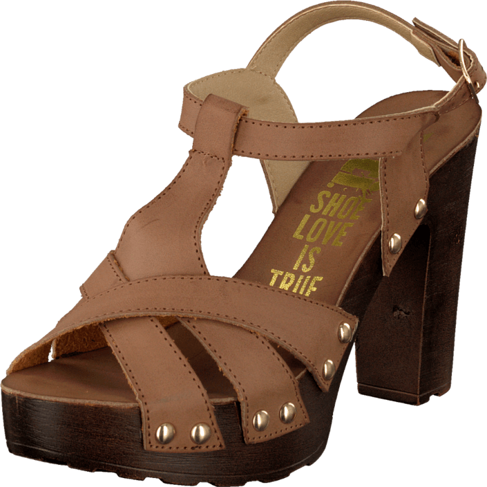 Xti - 27725 Brown