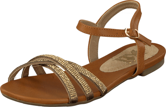 Xti - 27865 Camel
