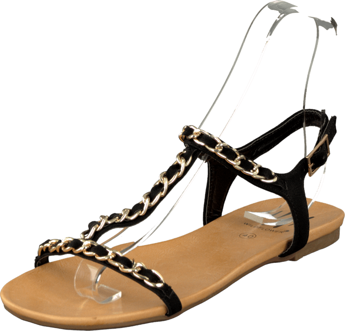 Wildflower - Contessa Black