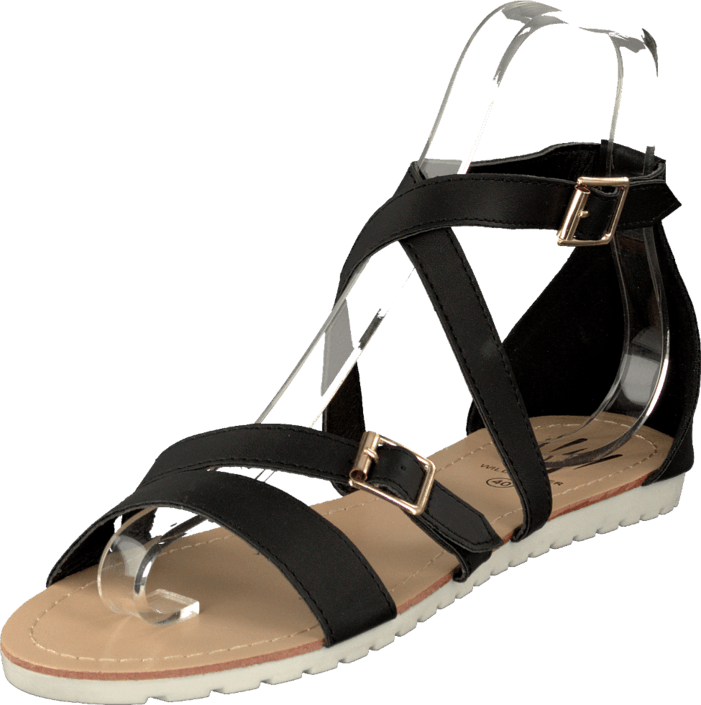 Wildflower - Sasson Black