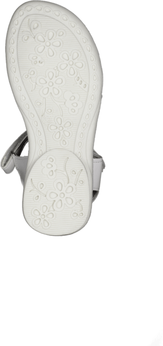 Wildflower - Samil White