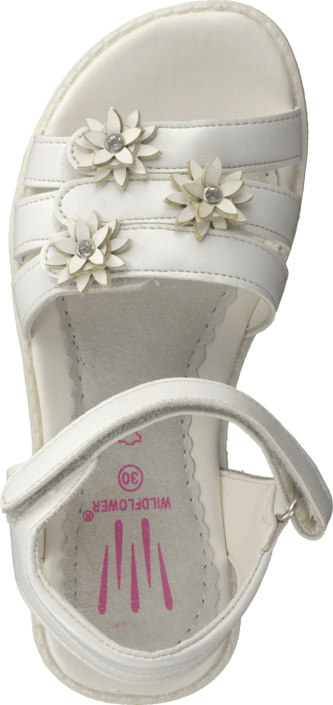 Wildflower - Samil White