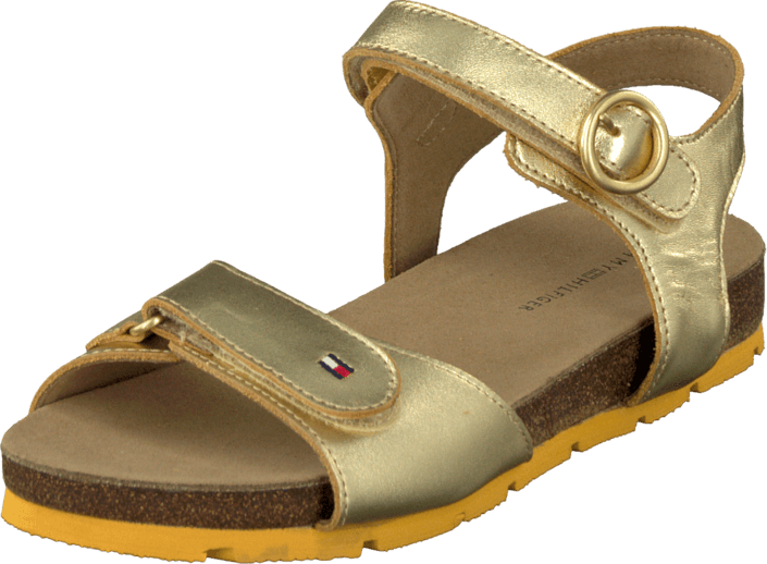 Tommy Hilfiger - Pisa 2A Gold
